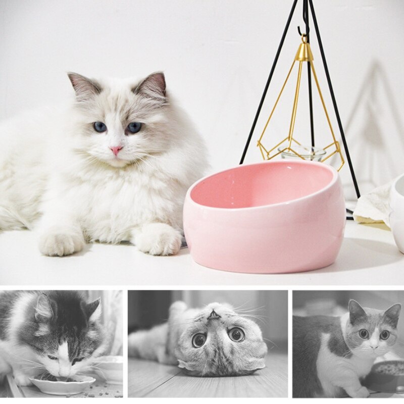 Mooie kom voor kat hond bescherming keramiek nekwervel verhoogde standaard huisdier puppy kitten kommen eten drinken water voederbak