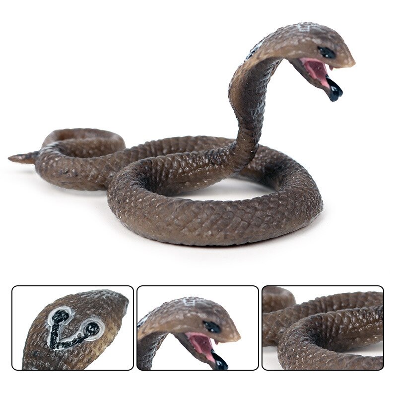 Solid simulering dyreliv slange legetøj king cobra lille cobra model amfibie krybdyr dekoration