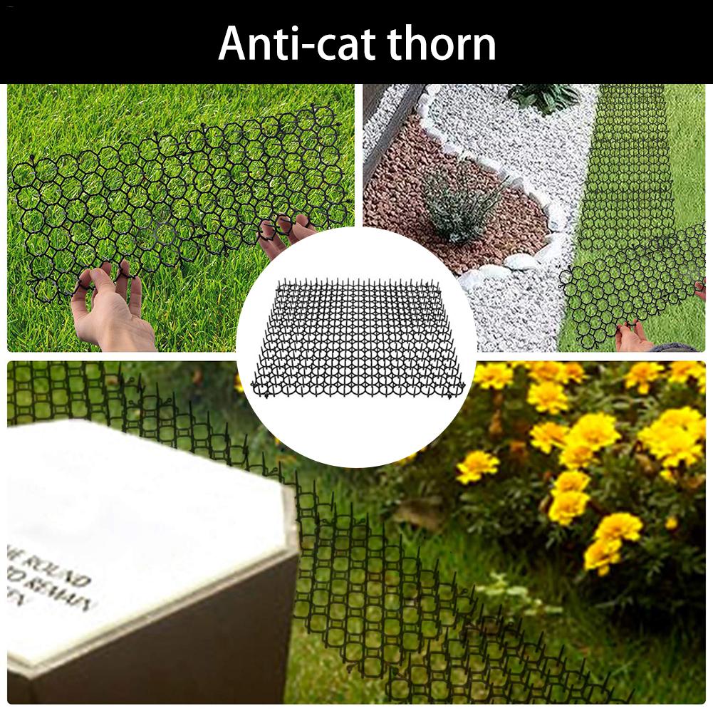 5 pièces Anti-chat épine jardin en plastique clou Pad Animal répulsif plante Protection outil