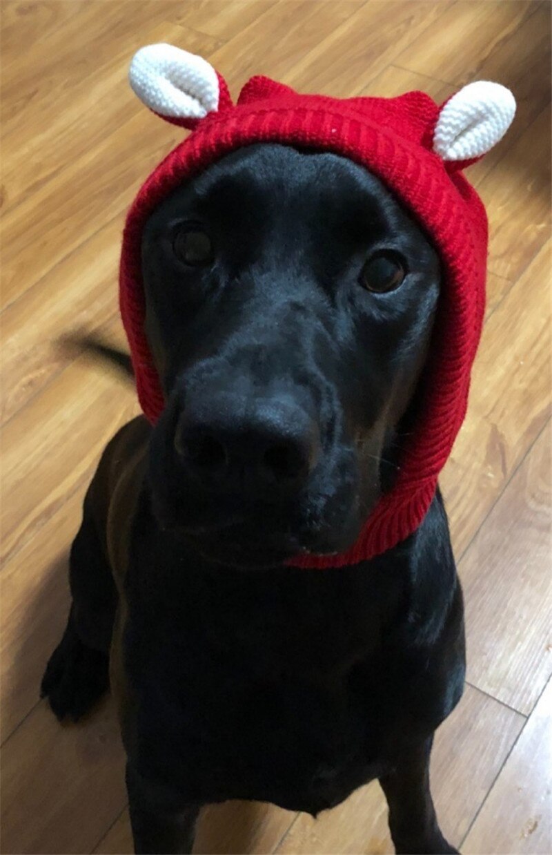 Funny Winter Pet Hats Dog Costume Ennly Neck Ear Warmer Snood Knitted Big Dog headgear Headwear Dog hats