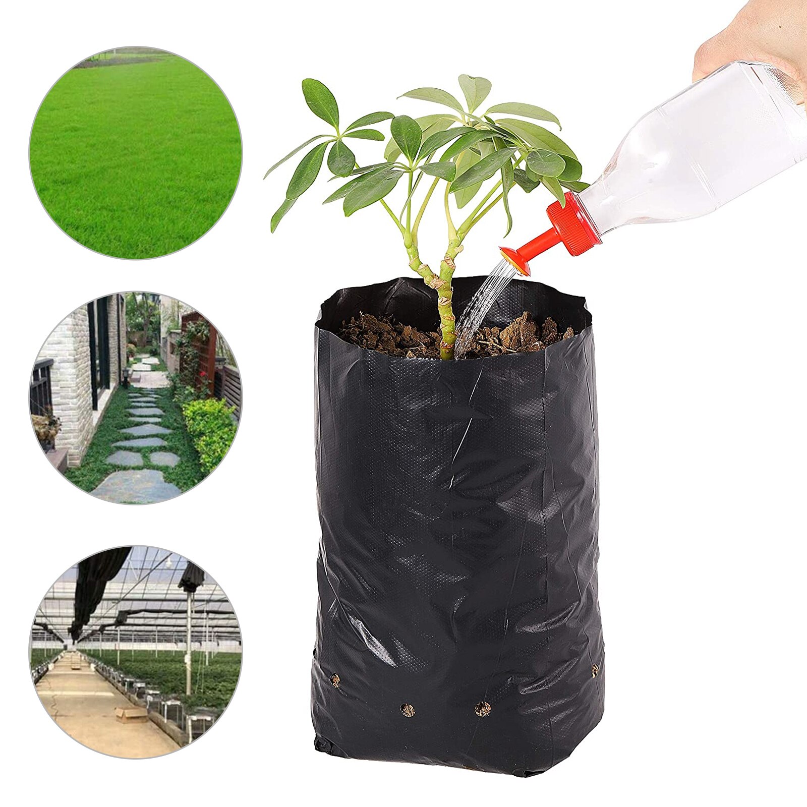 100 Pcs Thicken Plant Grow Bags Seedling Pots Eco-Friendly Garden With Breathable Holes Black Planting Bags PE Nursery Bags