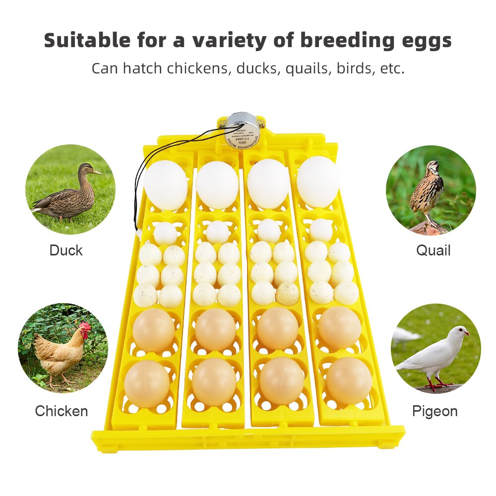 Incubateur automatique 104 œufs CE, incubateur pour 24 œufs d&#39;oiseaux, canard, poulet, 110V/220V/12v, plateaux avec moteur à rotation automatique