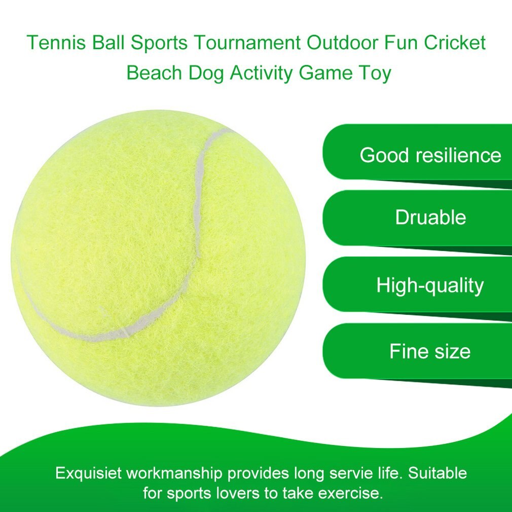 Gule tennisballer sportsturnering utendørs moro siriss strandhund ideell til Strand siriss tennistrening eller Strand/etc