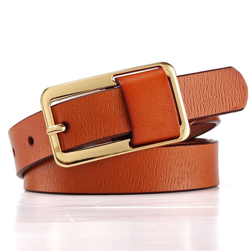 Luxe Riemen Voor Vrouwen Pin Gesp Vrouwen Pu Riemen Ceinture Femme: Brown
