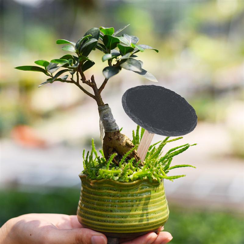 5 stk planteetiketter blomst oval træ enkel holdbar skifer plantemærker skifer planteetiketter plantemærke til havehjem