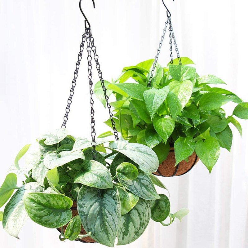 Cesta de flores colgantes de Metal, con forro de cáscara de Coco, colgante para exteriores decorativo de 10 pulgadas, 5 uds.