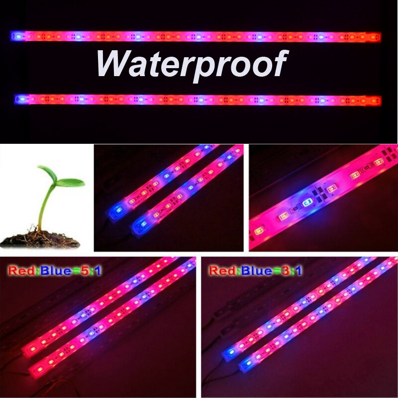 LED élèvent la lumière DC12V 5630 bande de lumière végétale pour Aquarium serre plante hydroponique légume plante fleur lampe grow light lampe plante potager intérieur led aquarium eau douce mylene farmer led plan