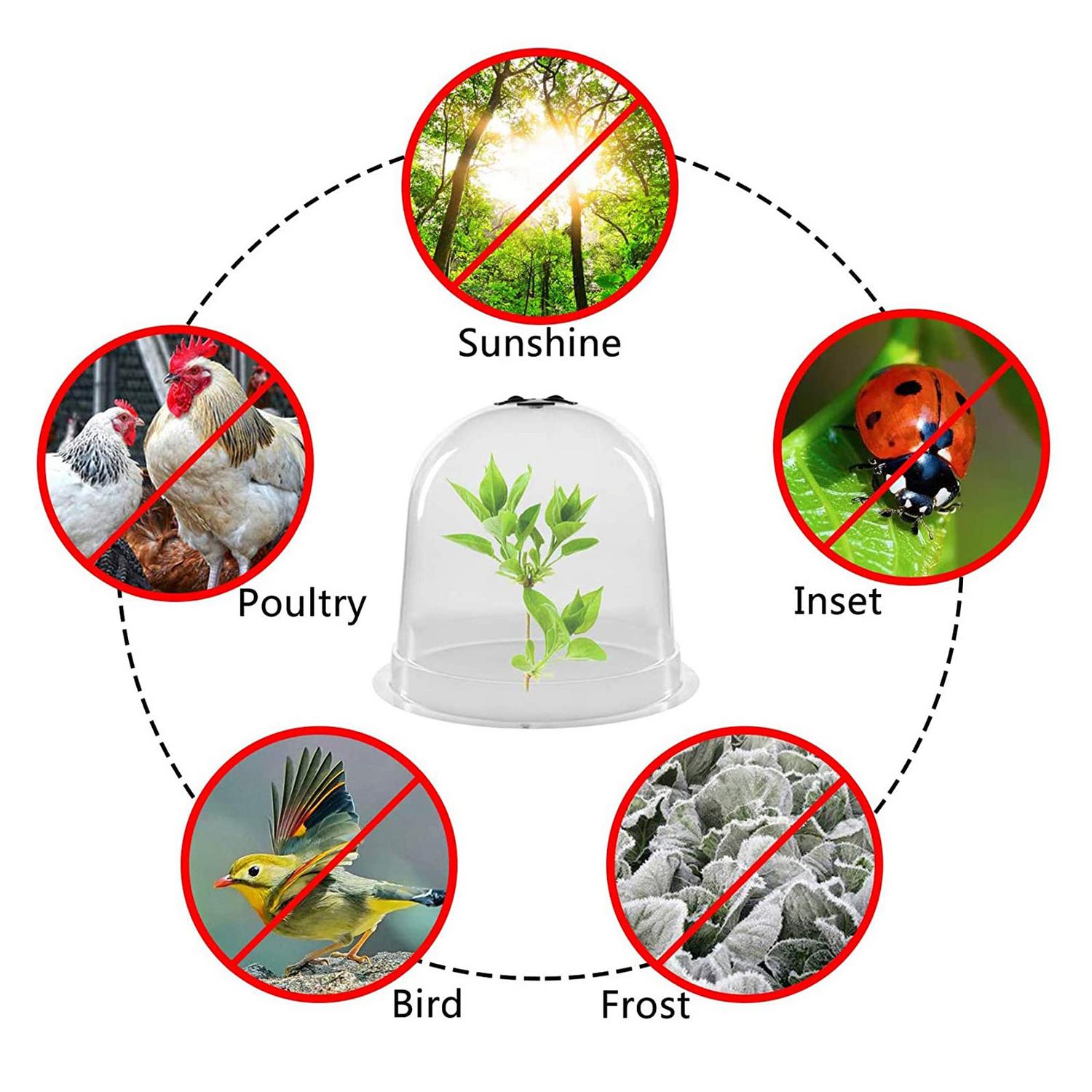 Tuin Cloche Plant Bell Cover Anti-Freeze Bell Jar Nail Plastic Mini Kas Voor Vorst Freeze Koude Plant Bescherming grow Box