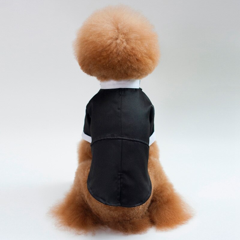 Stilfuldt kæledyrsdragt slips kæledyr formelt tøj gentleman svalehalet jakke mandlige jakkesæt kæledyr hund brudekjoler del
