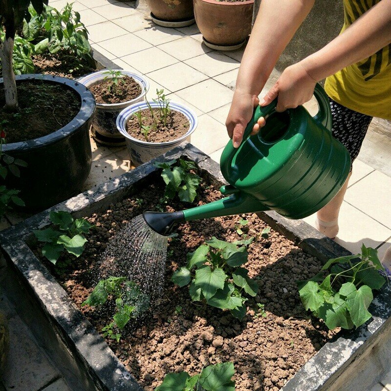 8L Plastic Watering Can Garden Essential Watering Can Indoor Outdoor Light Weight Cans