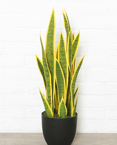 DIY künstliche Sansevieria trifasciata große größe tropische pflanze Hand gefühl grün sukkulenten hause dekoration