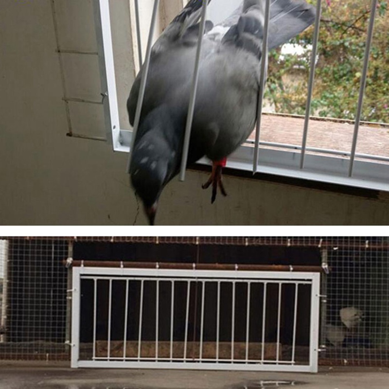 30*26cm Pigeon Door Metal Wire Bars Frame Single Entrance Trapping Doors Cage Birds Catch Removable Bar Bird Cages & Nests