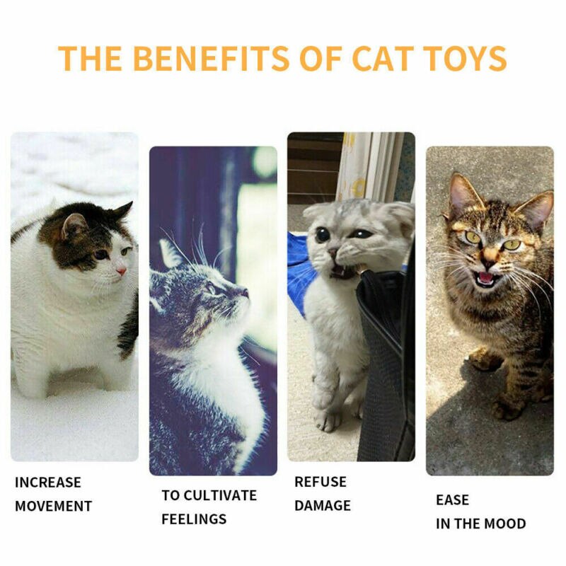 Funny Cat Pet Interactive Track Ball Toys Window Suction Mount Senses Toy Ball