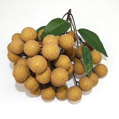 Simulated Fruit String Foam Longan, Longan, Lychee, Blueberry, Cheli, False Fruit Props Shooting Props