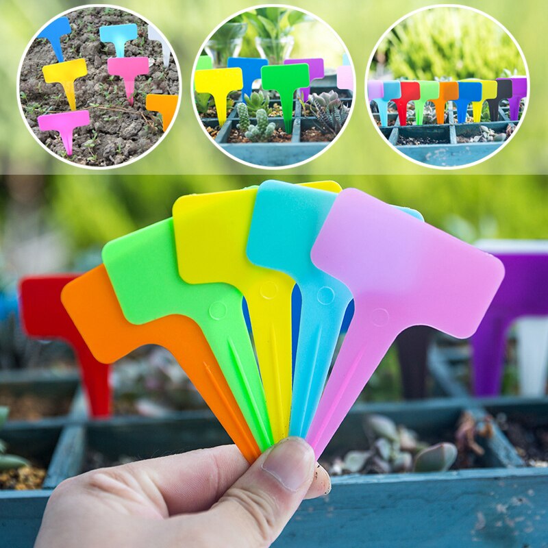 50pc plastikplanteretiketter havemarkører t-type havearbejde navneskilte haveprodukter семена blomsterpotter tags til planter
