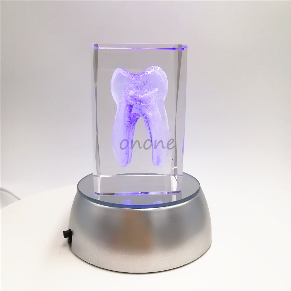1pcs Dental Artware Teeth Model Dentist Crystal Model Handicraft Article