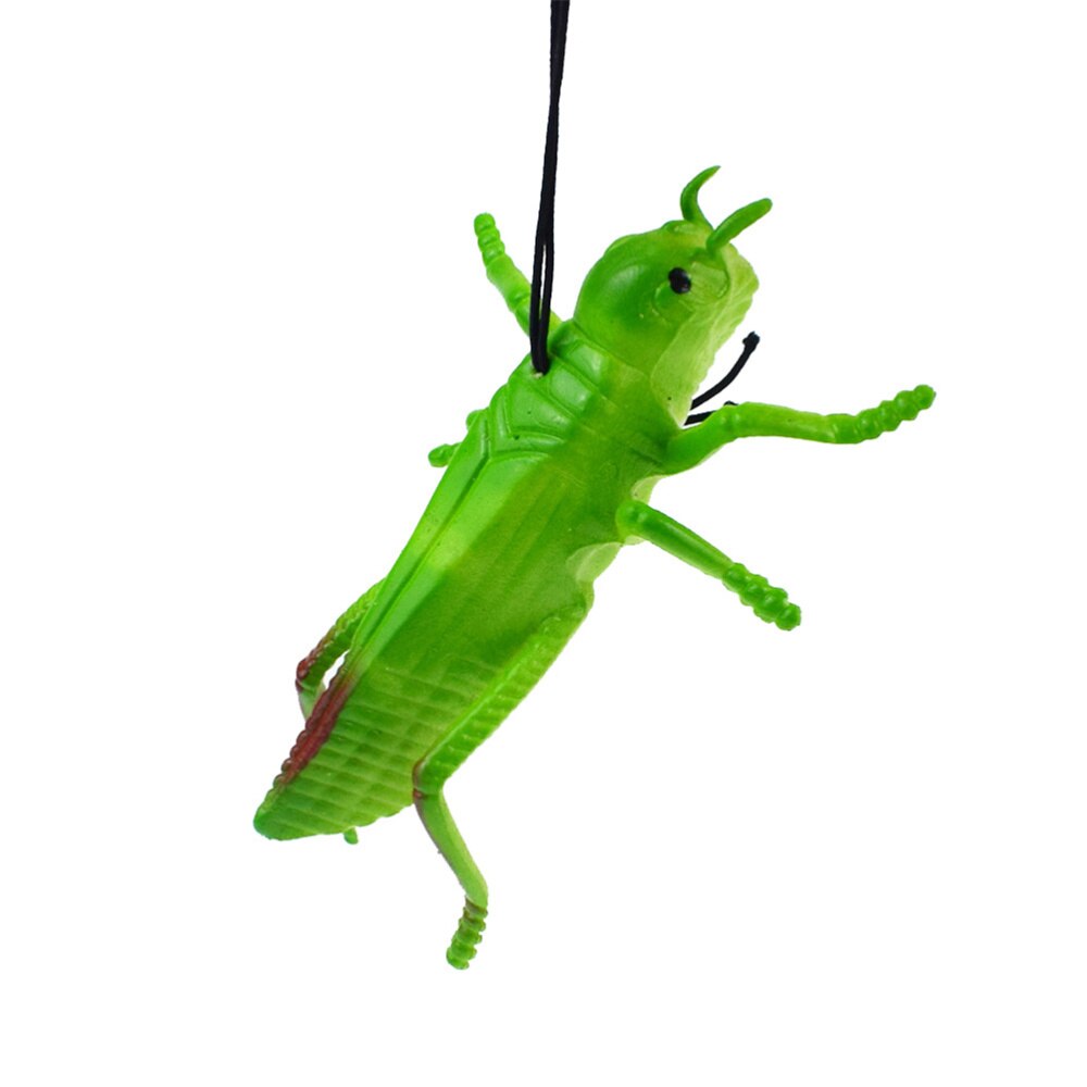 8pcs TPR Simulation Locust Grasshopper Toys Lifelike Insect Model Toys Tricky Props (Green): As Shown