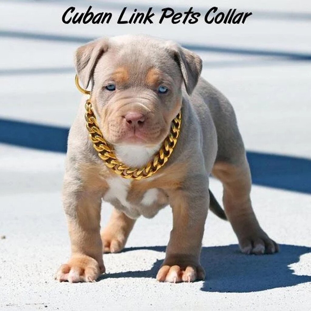 Hip Hop Pet Necklace Cuban Link Thick Golden Chain Dog Cat Gold Chain Pets Safety Collar 45cm Stylish Funny P3