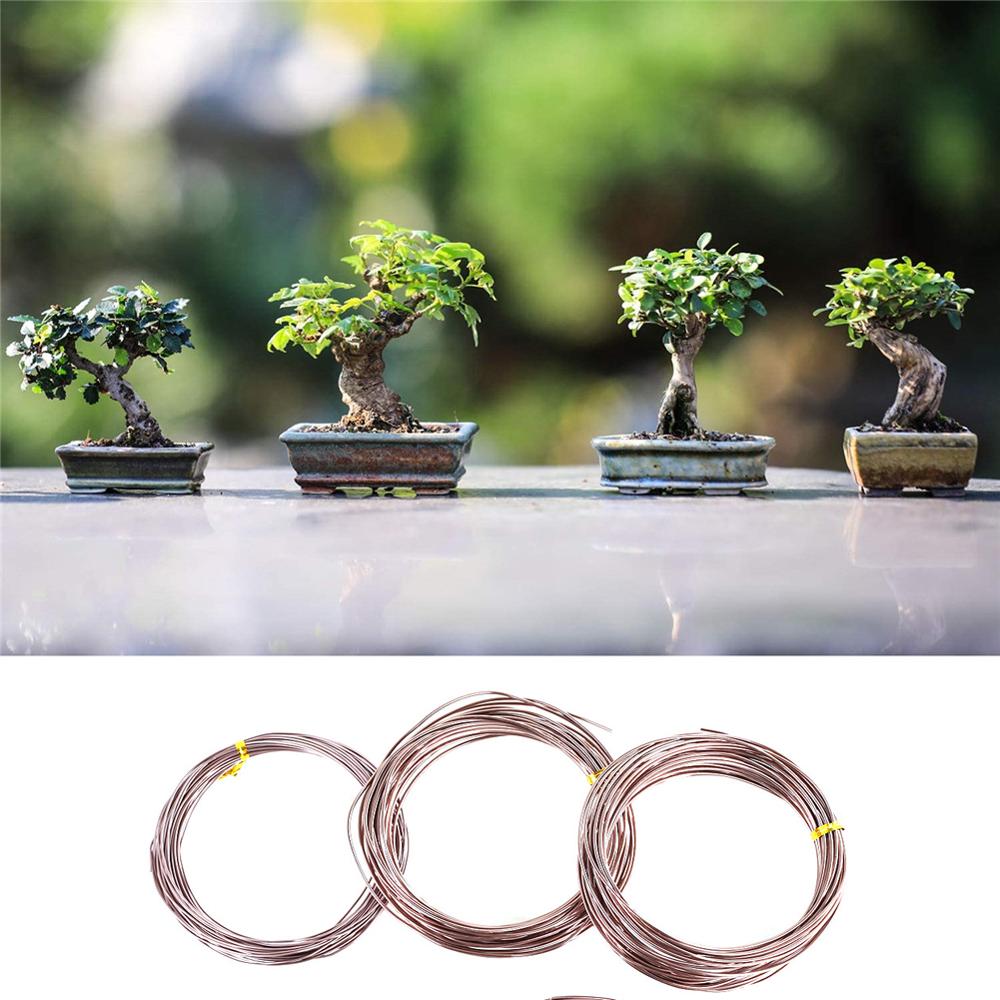 5 Rolls Bonsai Wires Anodized Aluminum Bonsai Training Wire with 3