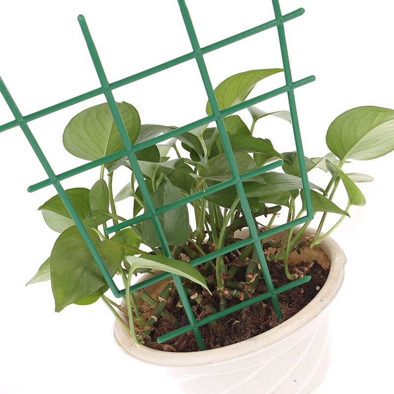 Fofetbfo 20 STKS Tomaat Trellis Roller Haken met 15 M Touw Tomaat Ondersteuning Haken Trellis Bloem Wijnstok Touw Crop Trellis Kit Plant Roller Haak voor Tomaat Wijnstok Groenten