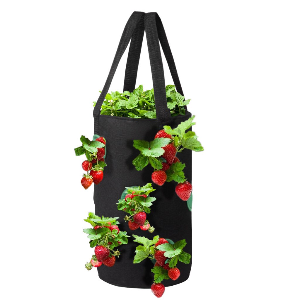 11 Hole Potato Strawberry Planter Bags For Growing Potatoes Outdoor Vertical Garden Hanging Open Vegetable Planting Grow Bag: Black