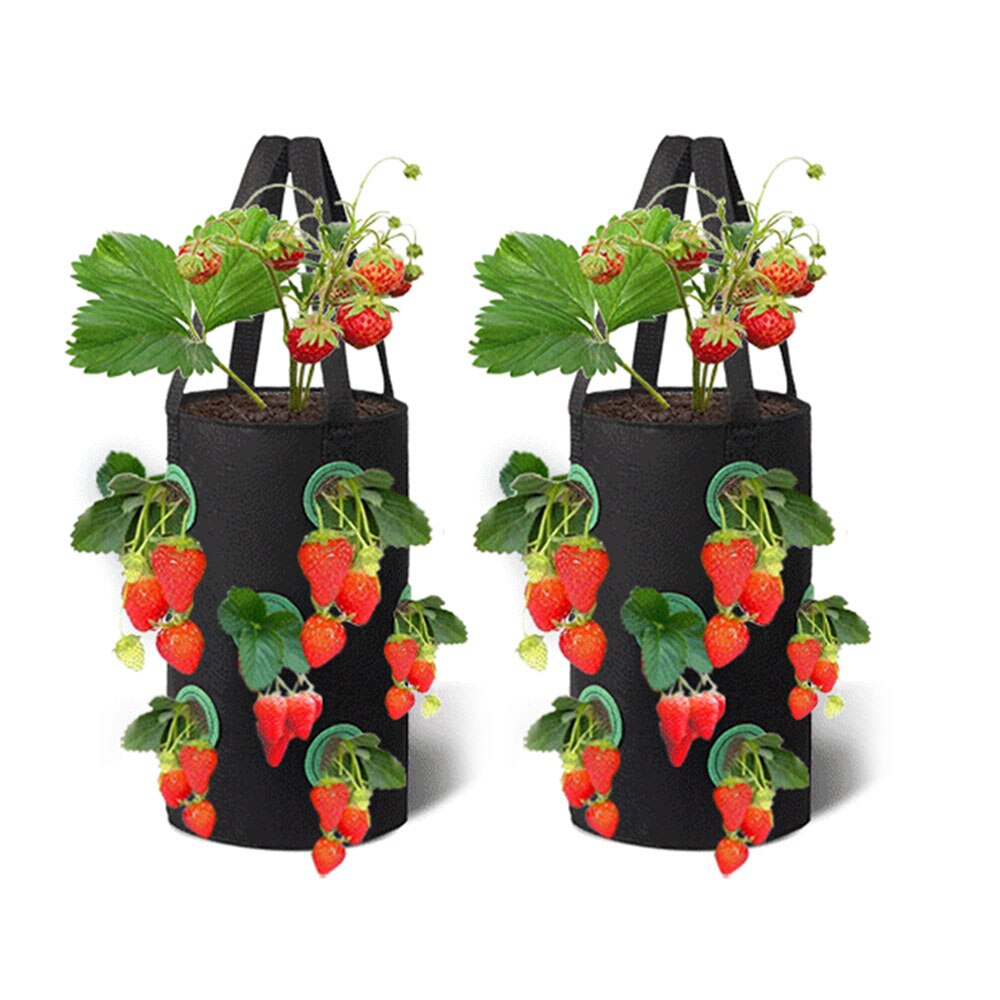 2Pcs 3 Gallons Strawberry Grow Bags for Plants Garden Pots Strawberry Bag Vertical Flower Herb Pouch Reusable Pot Planter Bags: black