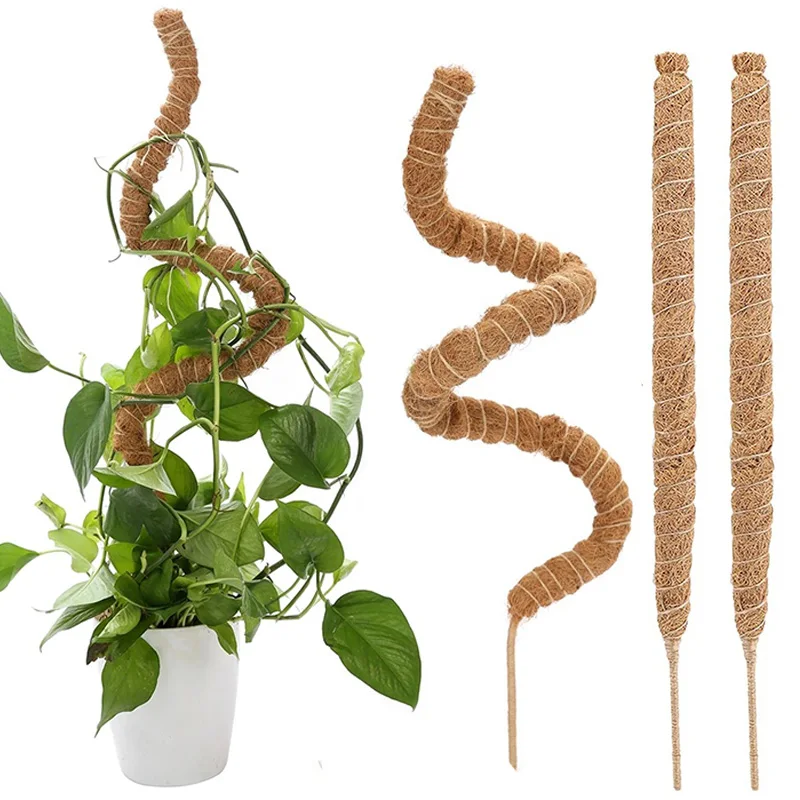 Poste de musgo para plantas trepadoras de interior, enredaderas para cultivar plantas hacia arriba, soporte para plantas con lazos de jardín, 60/70/80/90/100/110/120CM, 1 unidad