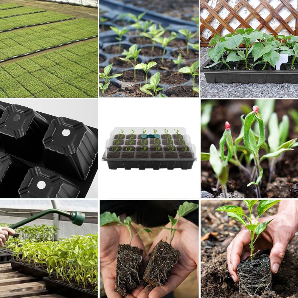 3Pcs 12/24 Cellen Zaad Starter Trays Plant Zaden Grow Box Trays Kieming Doos Met Transparante Deksels Doos Kwekerij potten