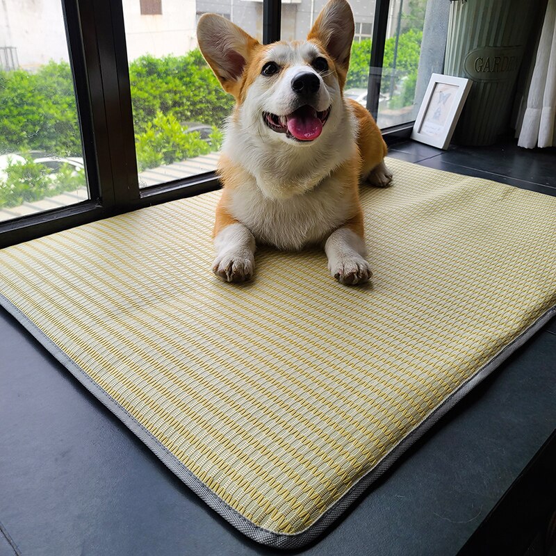 HOOPET – grand tapis d'été en rotin pour chien, lit Cool, lavable, chenil, coussin doux, accessoires de lit pour animaux de compagnie: Beige / L