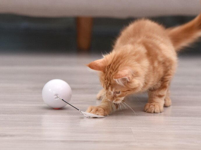 Eléctrico pelota juguete para gato interactivo de carga USB automáticamente a Rolling gatos jugando juguete de bola luminosa LED gato de juguete