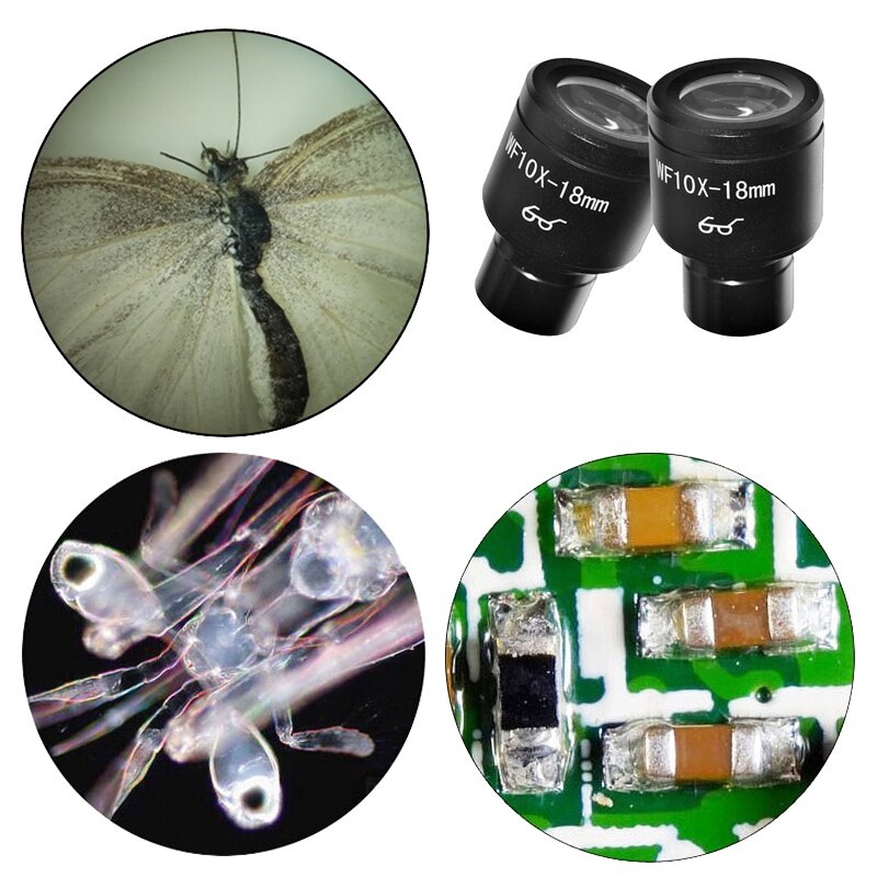 One Pair WF10X 18mm Microscope Wide Angle Eyepiece Wide Field Eyepiece Lens for Biological Microscope Mounting Diameter 23.2mm