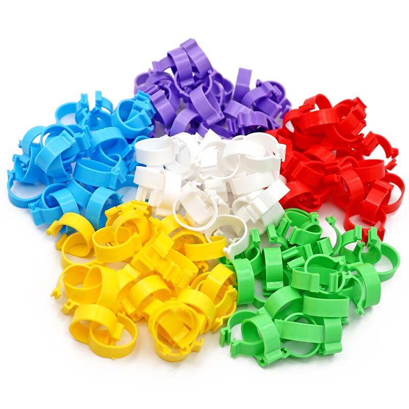 200 Stuks Kip Voet Ringen 20Mm Pluimvee Been Digitale Label Gesp Ring 6 Kleuren Zonder Woorden Plastic Kuiken Eend gans Apparatuur