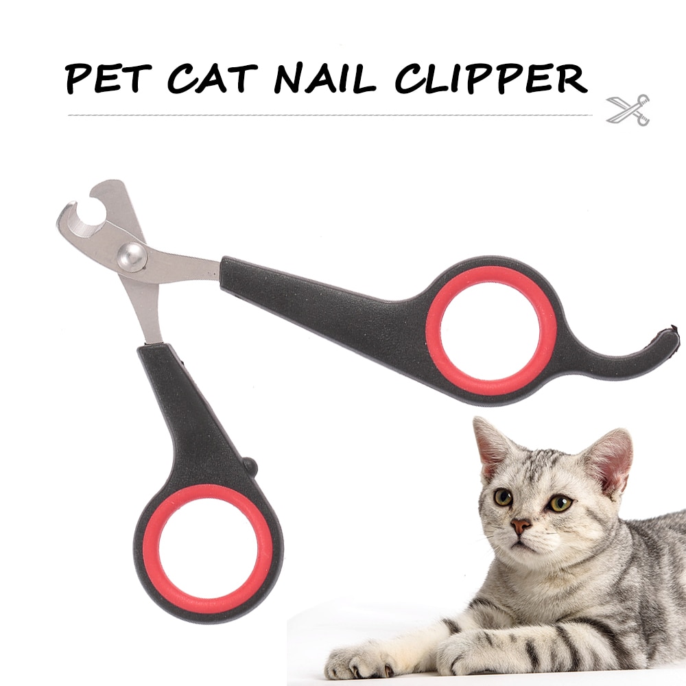 chat toilettage ciseaux acier inoxydable chat coupe-ongles chat fournitures accessoires pour animaux de compagnie