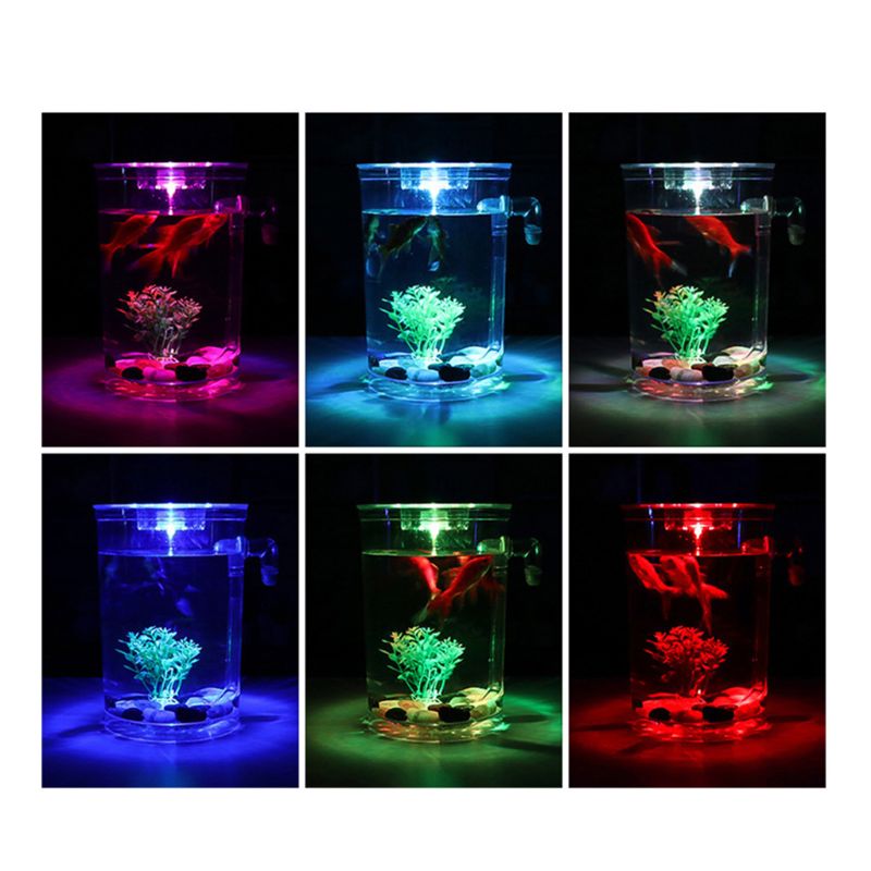 Mini sylinder akvarium startsett med led belysning mini landskap