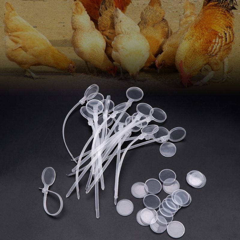 Juego de anillos para tobillera de aves de corral, marcador de de identificación, de plástico, pato, pollo, gallina, Ganso, cangrejo, equipo de 20 unidades