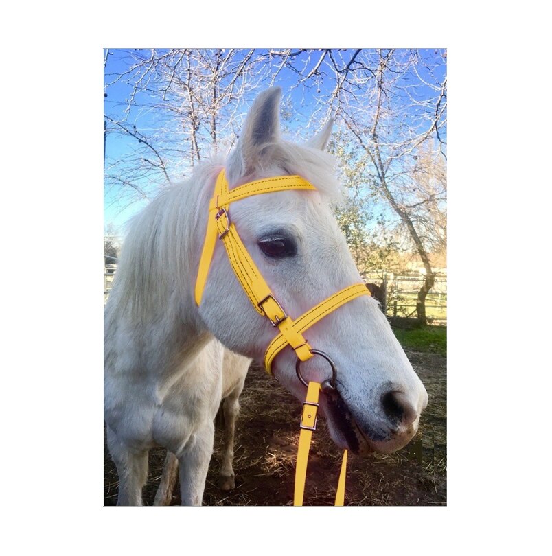 Amazing Head Collar adjustable and Comfortable For Horses: Yellow