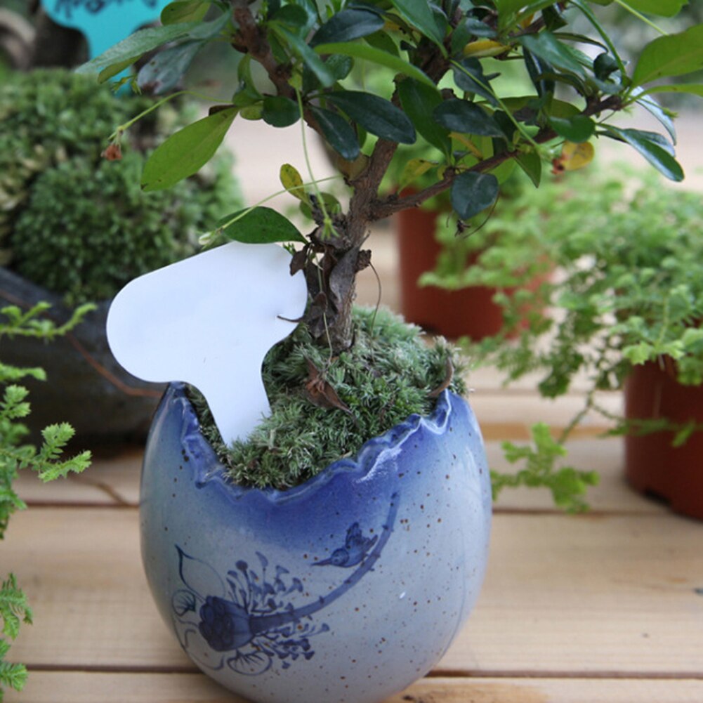 Stellar Blade Ist In Einem Neuen Update Mit Kostenl Produktbild-Vorschau 8