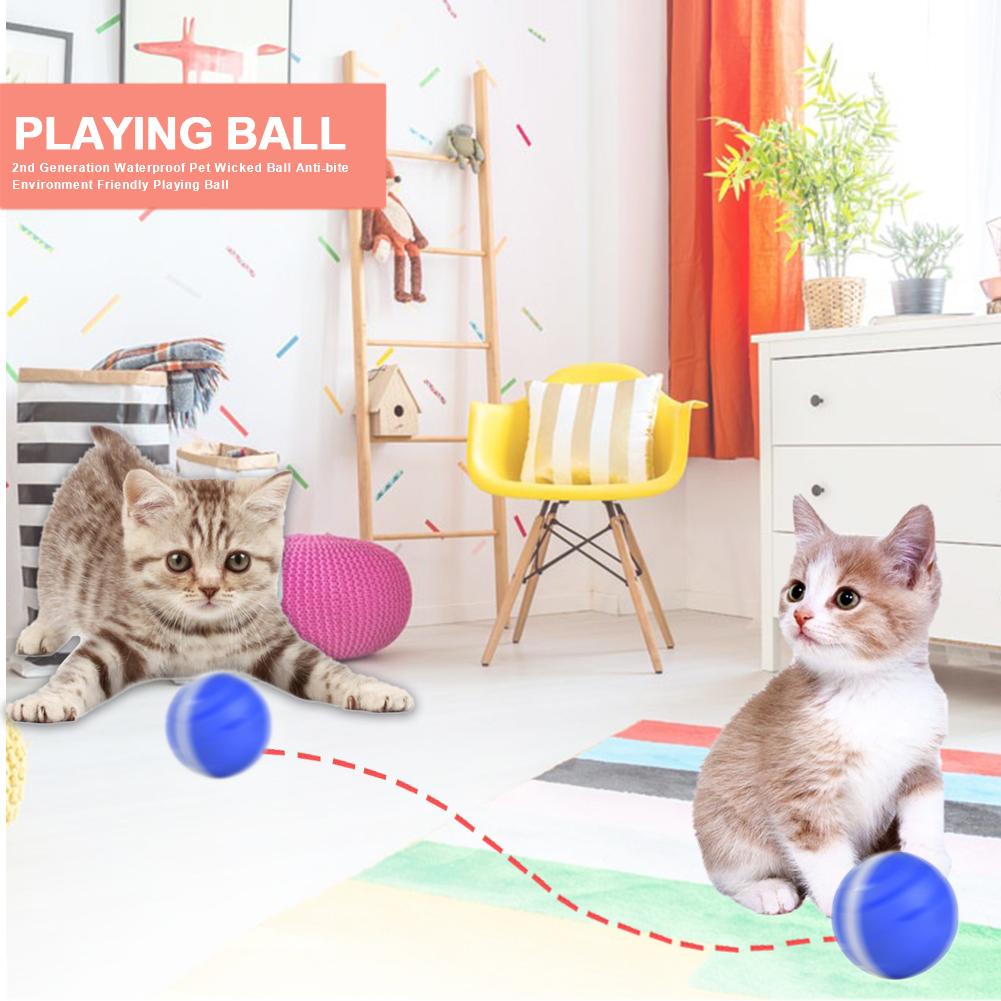 Newest 2nd Generation Pet Ball Waterproof Pet Wicked Ball Anti-bite Environment Friendly Pet Playing Ball Support