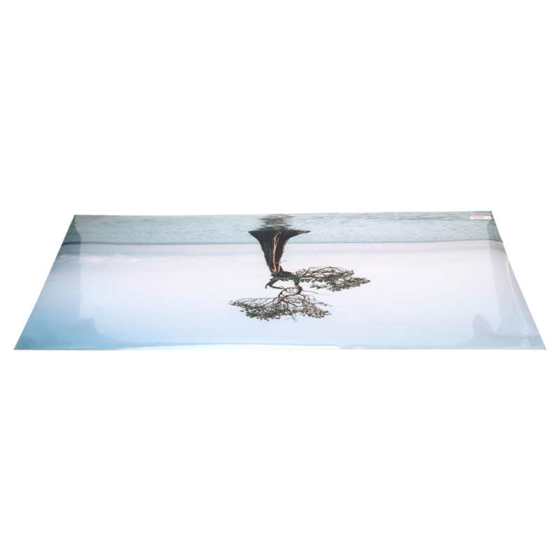 Self Adhesive Fish Tank Wallpaper Aquarium Background Poster Lifelike Tree in The Sea Style for Tank