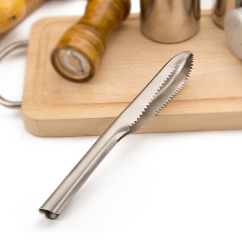 Vis Scaler Brush Snelle Schrapen Rvs Verwijderen Schubben Messen Schraper Kan Csv