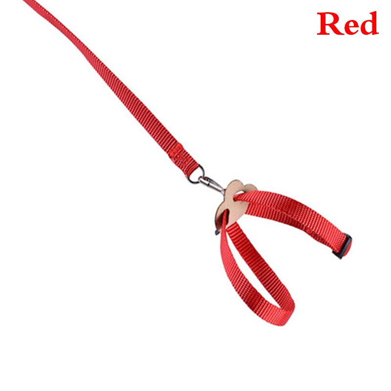 Harness And Leash For Birds Parrot Cockatiel Parakeet Conure Macaw Training Rope 5 Colors: Red