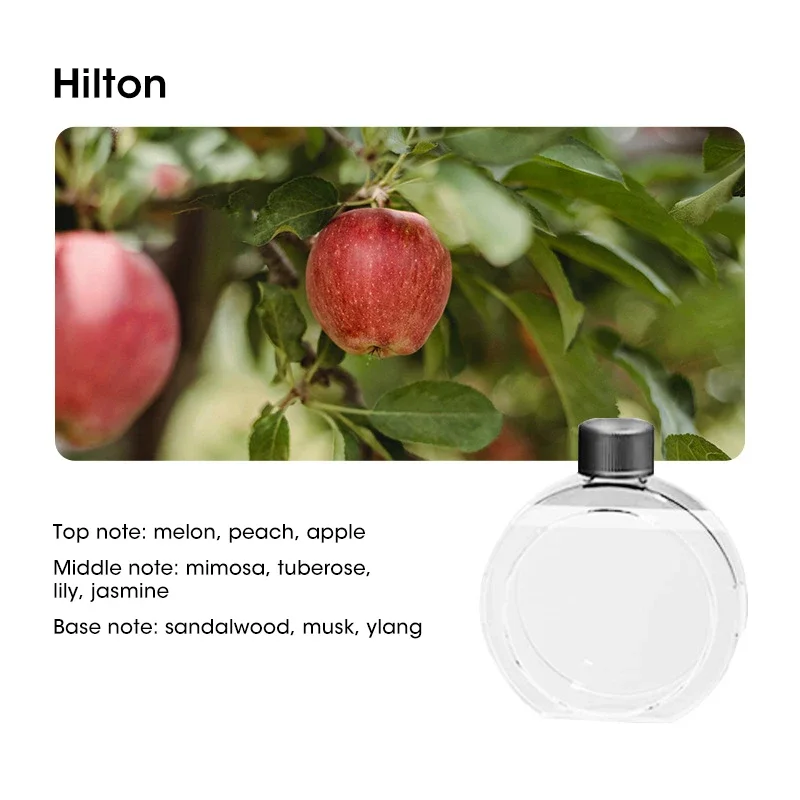 Difusor de Aroma inteligente purificador de aire pantalla Digital aceites esenciales de plantas 4 engranajes montaje en pared mesa carga USB sala de estar: Caqui oscuro