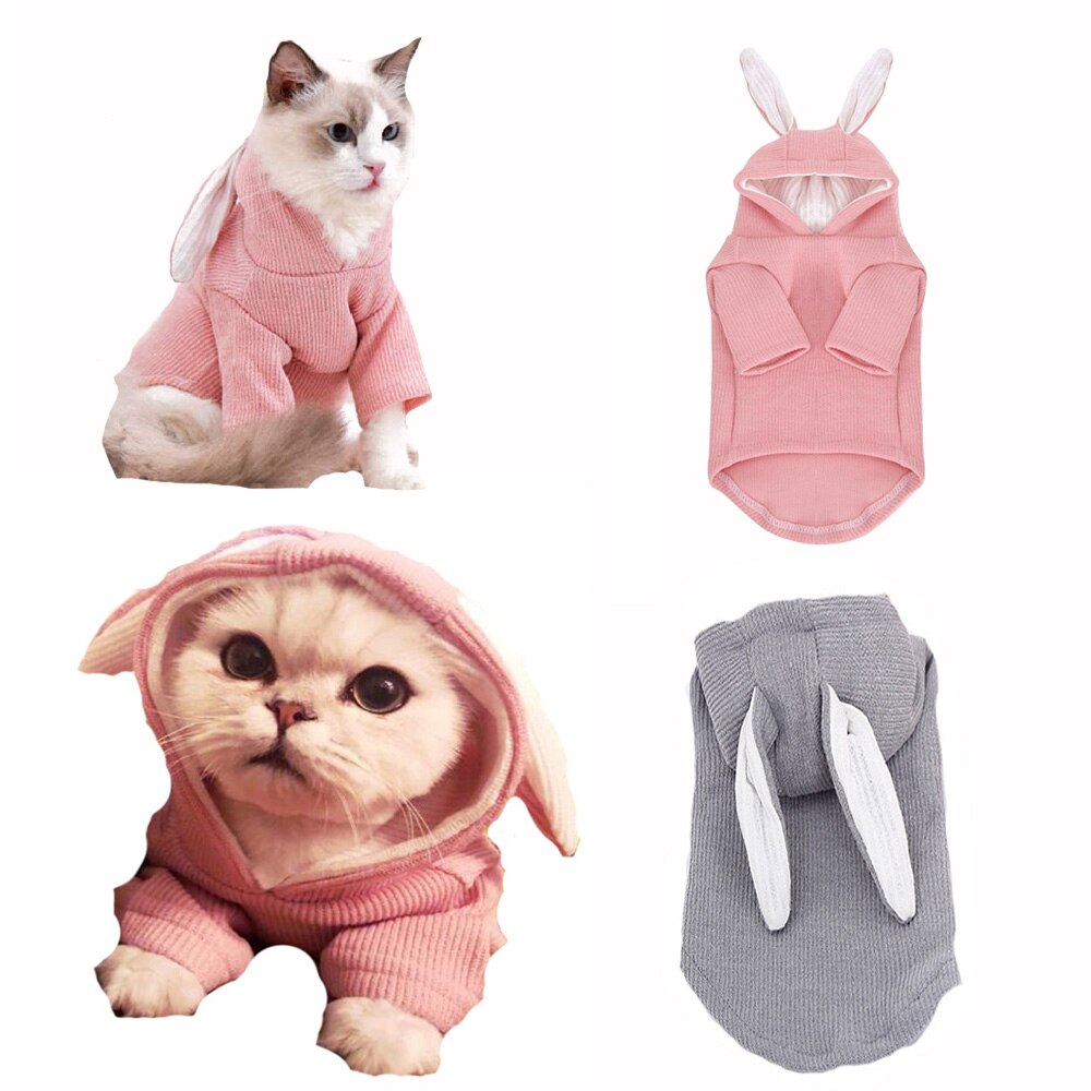 Sudadera con capucha para mascotas, ropa para gatos, atuendo de conejo con Orejas de conejo, suéter de punto para perros pequeños, primavera y otoño
