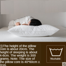 Kussen Kern Cervicale Enkele Dubbele Slaap Aid Bamboe Mat Ijs Zijde Bamboe Koel Kussen: Black