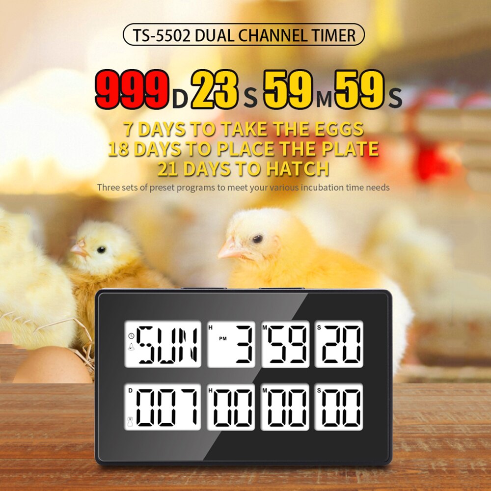 Multifunction Dual Channel Timer Digital Kitchen Timer Incubation Timepiece Alarm Clock with Snooze Large Display Magnetic Back