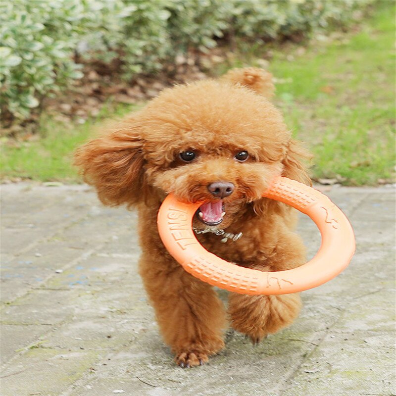 Dogs Toys Pet Rally Ring Molar Teeth Cleaning Toy Large Dog Side Shepherd Labrador Interactive Training Toys Dog Accessories