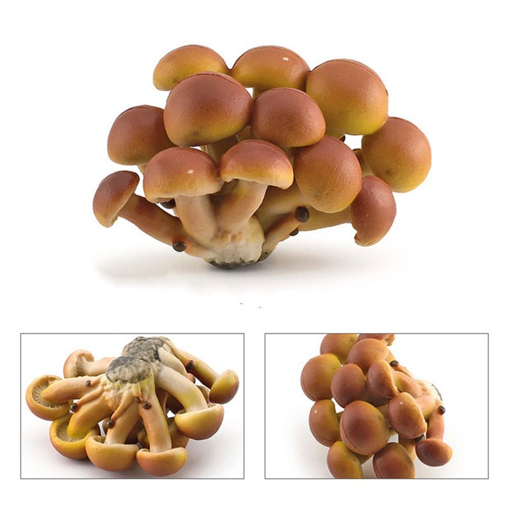 Modelo de vegetales, figuras de hongos, miniaturas de paisaje, Matsutake Oyste, simulación de hongos, planta, modelo de hongos artificiales: Caqui oscuro