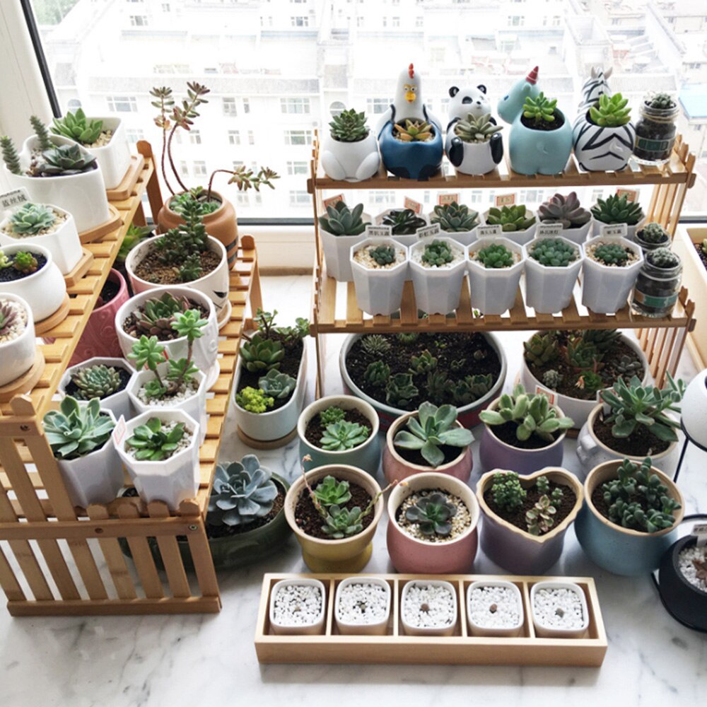 Two Layer Office Tabletop Storage Rack Wooden Flower Planter Display Decorative Storage Shelf for Bedromm Gardening Supplies