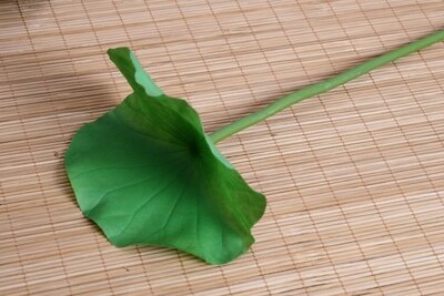 Vintage chinese hanfu fotografie achtergrond foto rekwisieten stilleven ornament nationale trend foto huis rekwisieten: F5 lotusbladeren 2 stuks