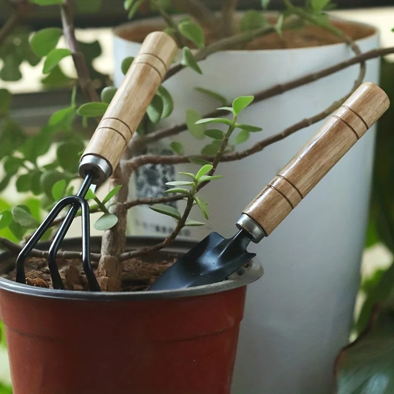 Conjunto de ferramentas de jardim mini kit de jardinagem com espátula de ancinho e pá para plantas suculentas e cultivo de solo
